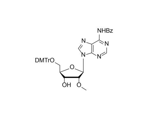 5'-O-DMTr-2'-O-Me-rA(Bz) N6-Benzoyl-5'-O-DMTr-2'-O-methyladenosine