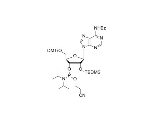 DMTr-2'-O-TBDMS-rA(Bz)-3'-CE-Phosphoramidite