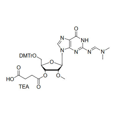 5'-O-DMTr-2'-OMe-G(dmf)-3'-O-succinate, TEA salt