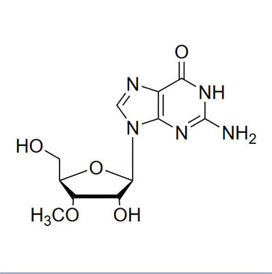 3'-O-Me-Gr 3'-O-methyl-guanosine