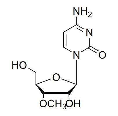 3'-O-Me-Cr 3'-O-methyl-cytidine