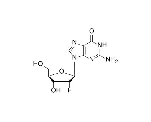 2'-F-dG 2'-fluoro-2'-deoxyguanosine