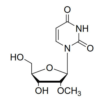 2'-OMe-Ur 2'-O-methyluridine