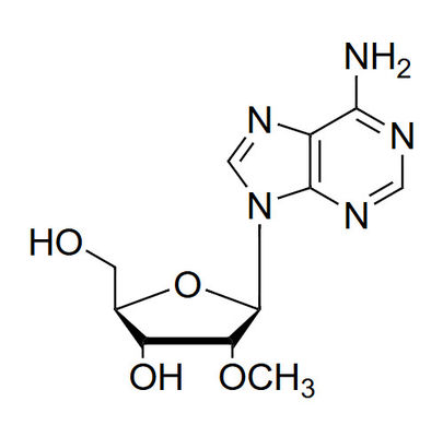 2'-OMe-Ar 2'-O-methyl-adenosine