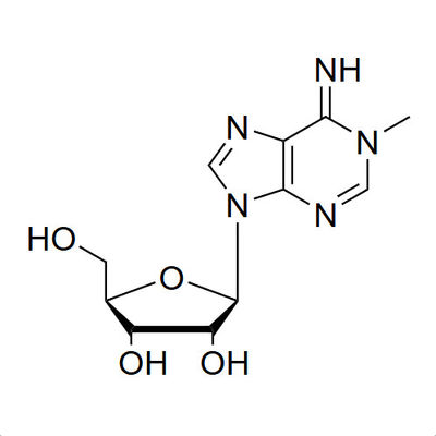 N1-Me-A N1-methyladenosine