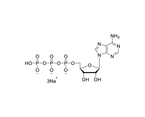 ATP 100mM solution   ATP Sodium Salt