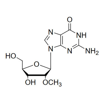 2'-OMe-Gr 2'-O-methyl-guanosine
