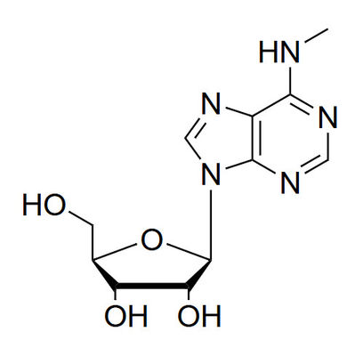 N6-Me-A N6-methyladenosine