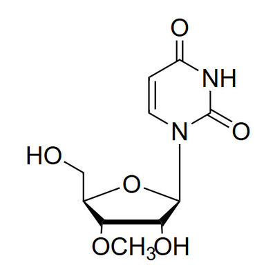 3'-O-Me-Ur 3'-O-methyl-uridine