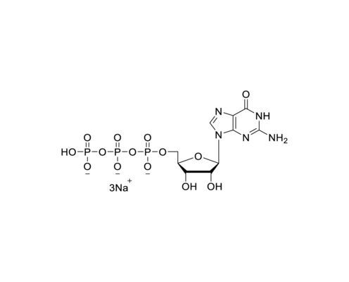 GTP 100mM Sodium Solution GMP grade CAS 36051-31-7