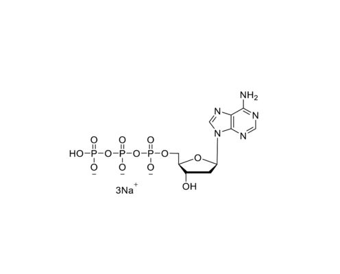 dATP 100mM Sodium Solution CAS 54680-12-5