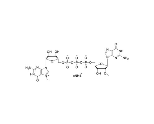 CAP m7G(5')ppp(5' )(2'OMeG) 100mM Ammonium Solution CAS  57718-00-0