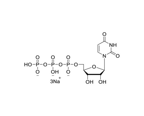 UTP 100mM Sodium Solution GMP grade CAS 19817-92-6