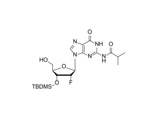 3'-O-TBDMS-2'-F-dG(iBu) TBDMS Protected Nucleosides  CAS 2382967-92-0