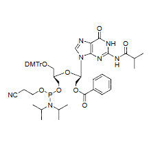 UNA-G(iBu)-CE Phosphoramidite