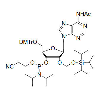 5'-O-DMTr-2'-O-TOM-A(Ac) Phosphoramidite