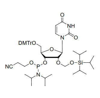 5'-O-DMTr-2'-O-TOM-U Phosphoramidite