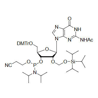 5'-O-DMTr-2'-O-TOM-G(Ac) Phosphoramidite