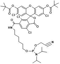 6-TET phosphoramidite