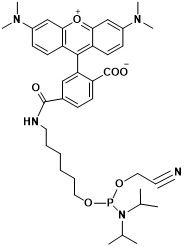 6-TAMRA phosphoramidite