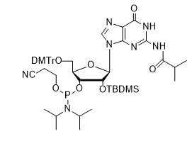 5'-O-DMTr-2'-O-TBDMS-G(iBu)-CE