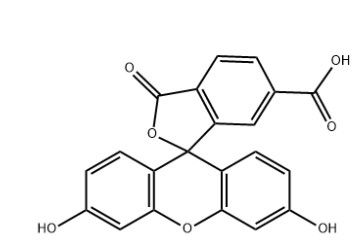 6-Carboxy Fluorescein