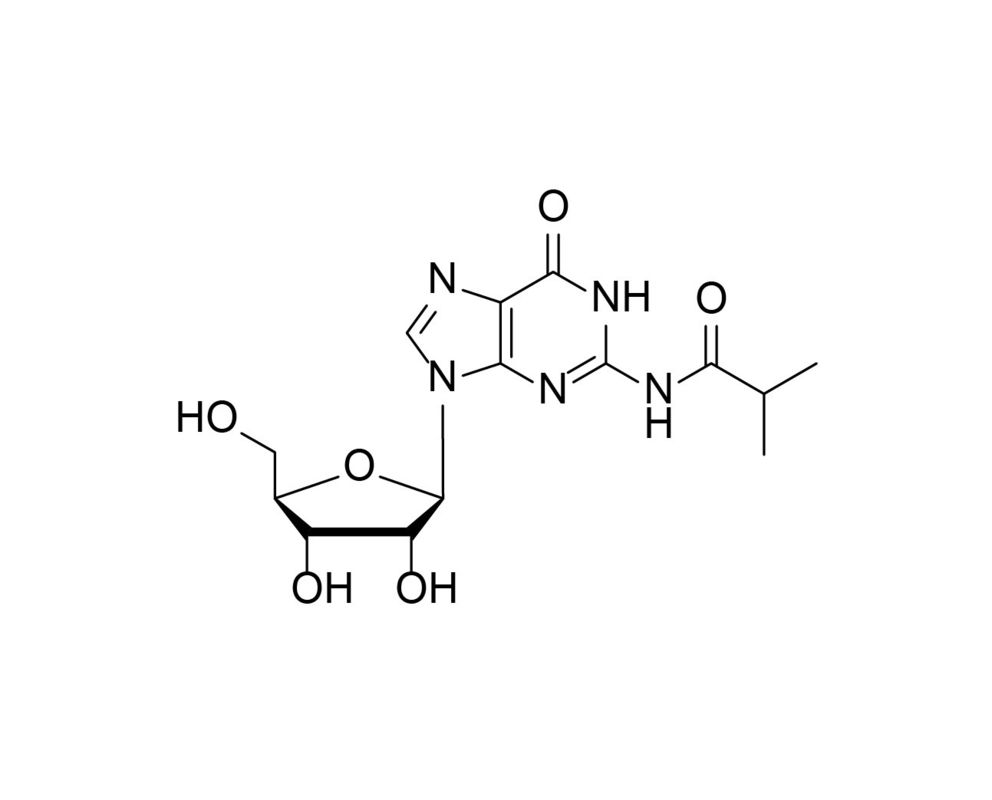 rG(iBu)  N2-Isobutyrylguanosine