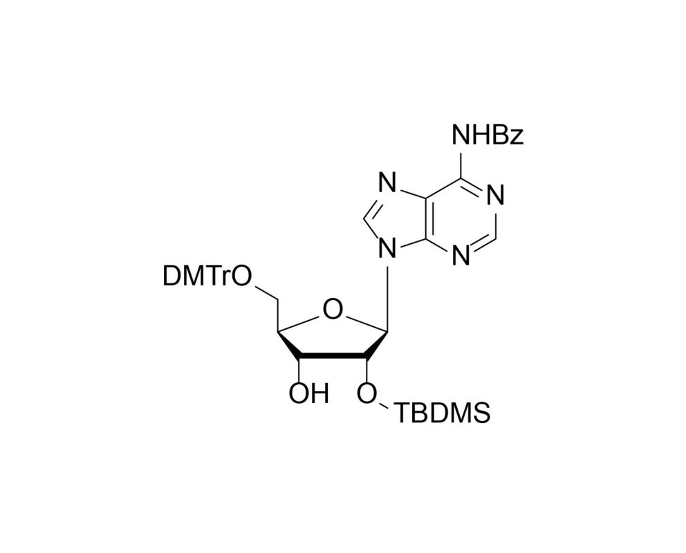 5'-O-DMTr-2'-O-TBDMS-rA(Bz)  N6-Benzoyl-2'-O-tert-butyldimethylsilyl-5'-O-DMTr-adenosine