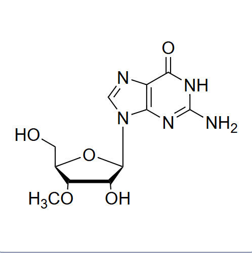 3'-O-Me-Gr 3'-O-methyl-guanosine