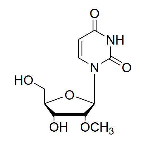 2'-OMe-Ur 2'-O-methyluridine