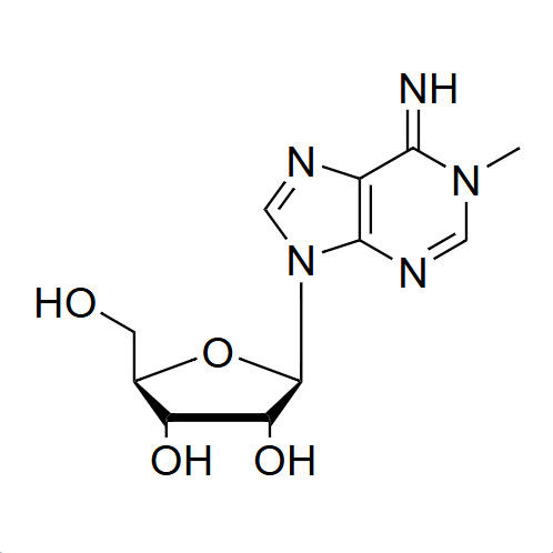 N1-Me-A N1-methyladenosine