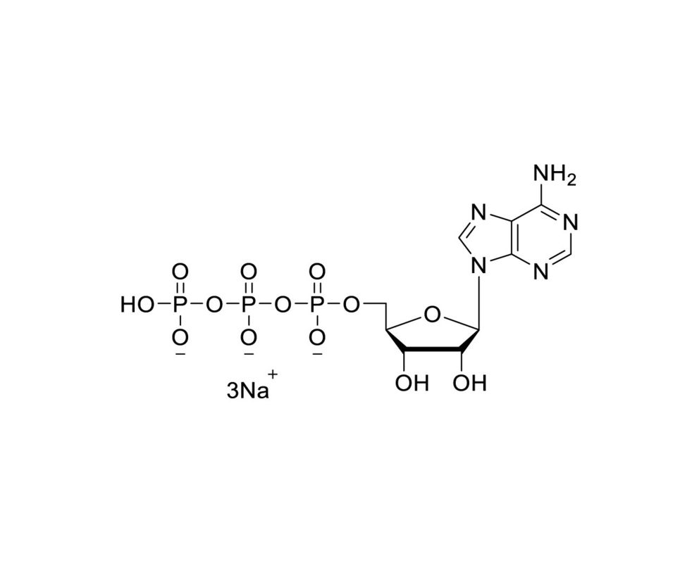 ATP 100mM solution   ATP Sodium Salt