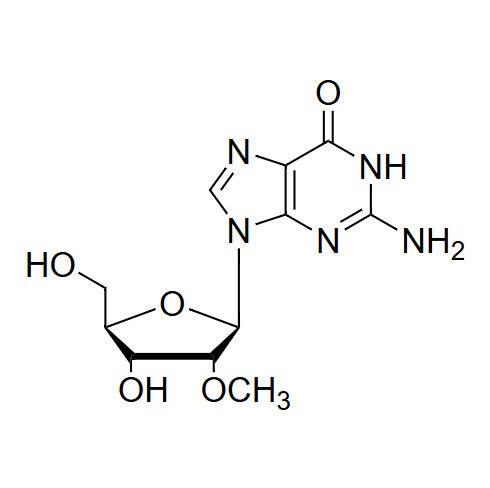 2'-OMe-Gr 2'-O-methyl-guanosine
