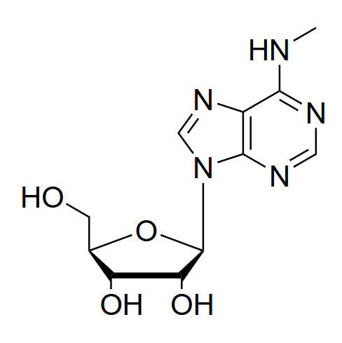 N6-Me-A N6-methyladenosine
