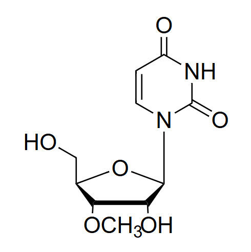 3'-O-Me-Ur 3'-O-methyl-uridine