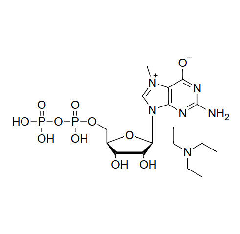 N7-Me-GDP·TEA Salt