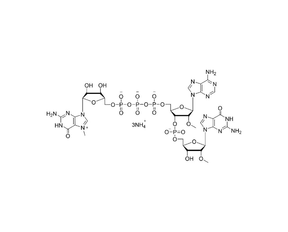 CAP M7G(5')ppp(5')(2'-OMeA)p(2'-OMeG) 100mM Ammonium Solution CAS  2222465-34-9