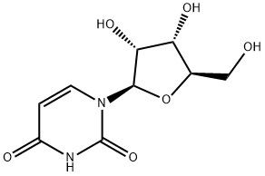 Ur Uridine CAS  58-96-8